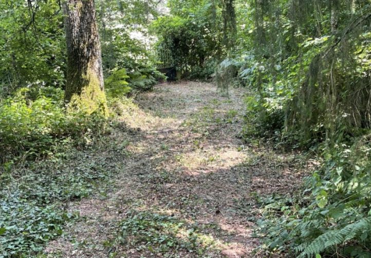 7.5 acre lake in Limousin Image