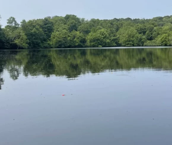 7.5 acre lake in Limousin Image