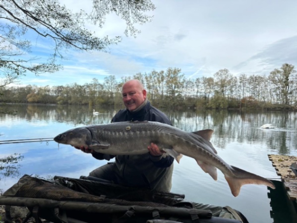 Chef de Ville – 08 November, 2025