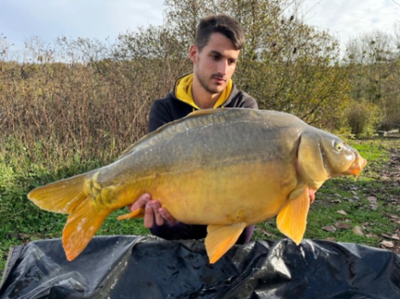 Domaine de Grand Felin – 18 November, 2025