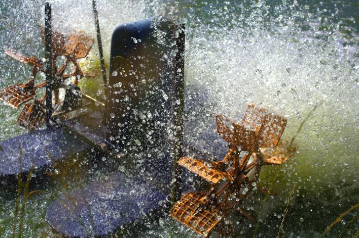 paddle wheels are excellent for increasing oxygen levels