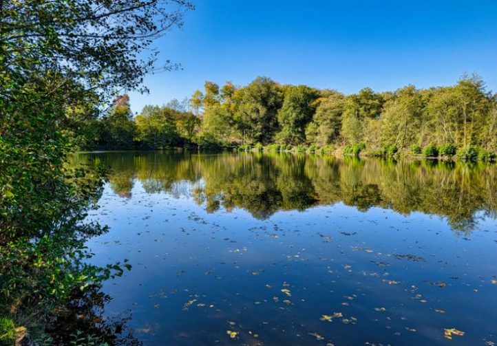 5 Acre Lake in Limousin Image