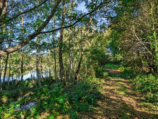 5 Acre Lake in Limousin Image