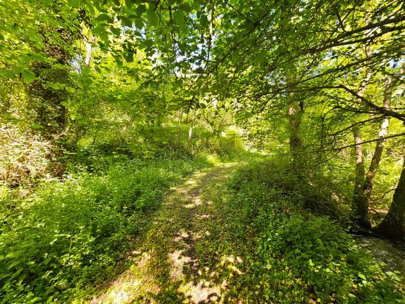 27 acre Estate with Lake in Auvergne-Rhône-Alpes Image
