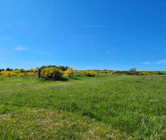 27 acre Estate with Lake in Auvergne-Rhône-Alpes Image