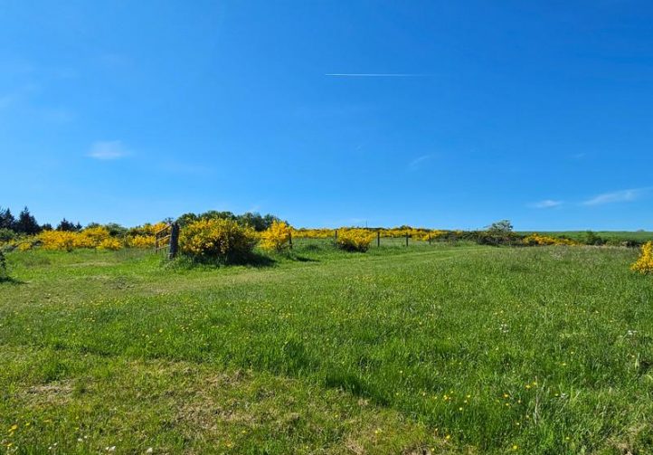27 acre Estate with Lake in Auvergne-Rhône-Alpes Image