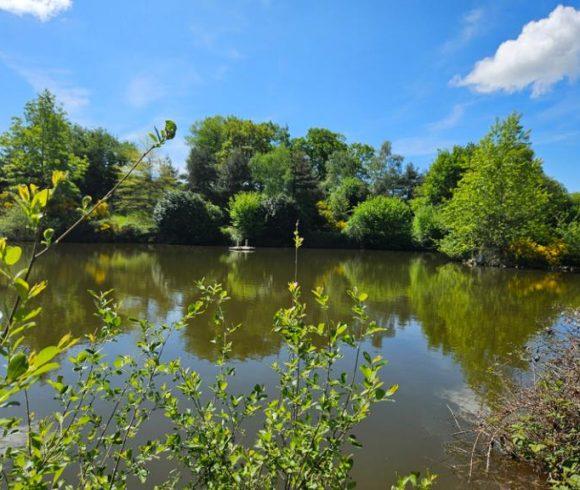27 acre Estate with Lake in Auvergne-Rhône-Alpes Image