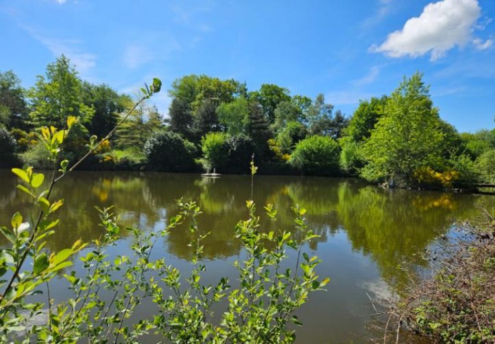 27 acre Estate with Lake in Auvergne-Rhône-Alpes Image