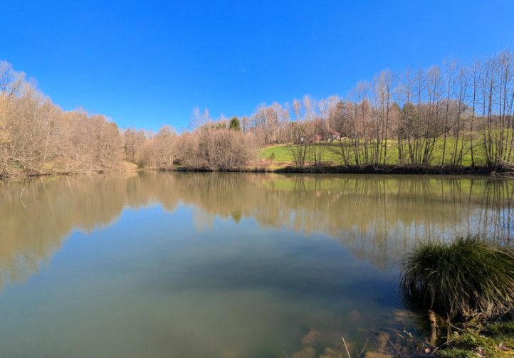 1.6 Acre Lake with 2 Bedroom Stone Cottage and Pool in Limousin Image