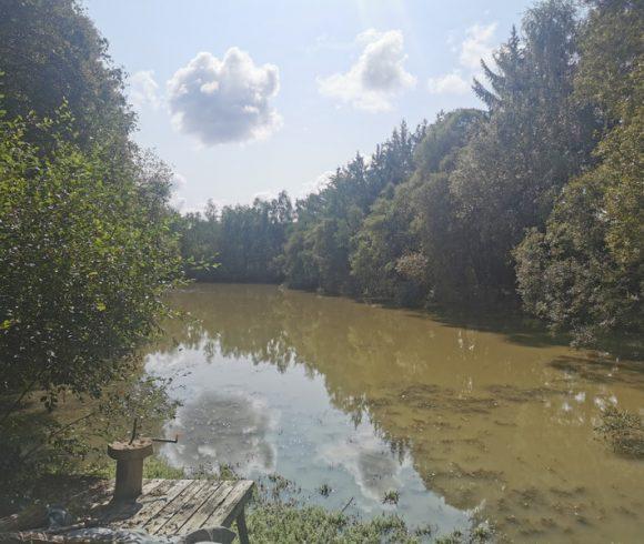 2 Lakes and a Cabin in Brittany Image