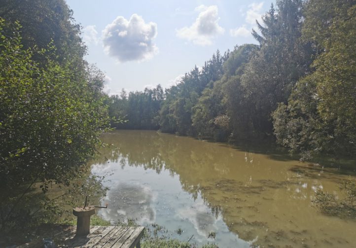 2 Lakes and a Cabin in Brittany Image