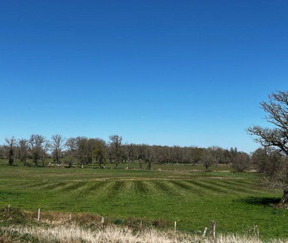 12.5 acre lake in Limousin Image