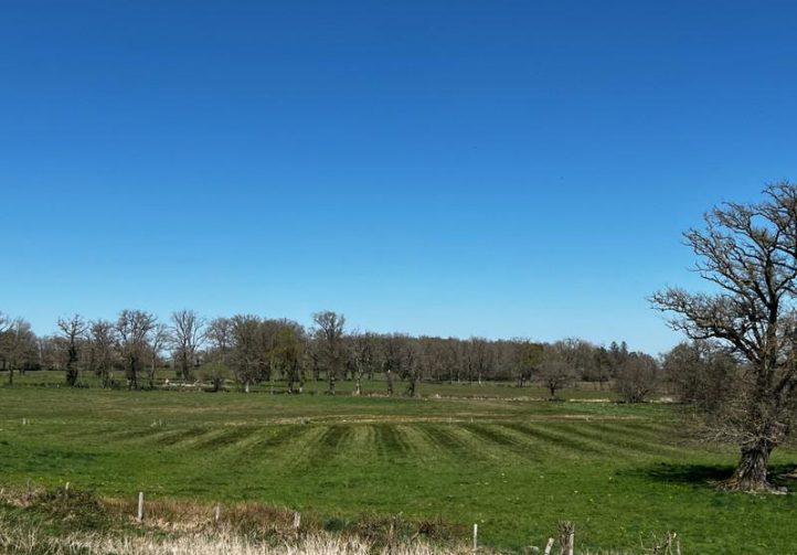12.5 acre lake in Limousin Image