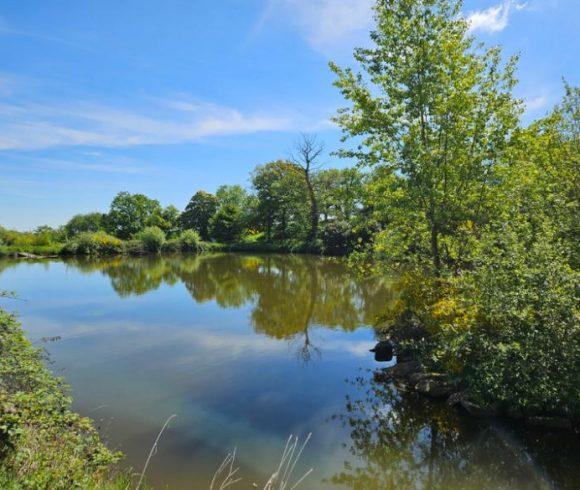 27 acre Estate with Lake in Auvergne-Rhône-Alpes Image