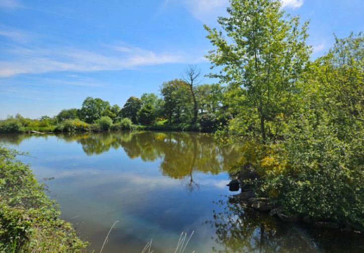 27 acre Estate with Lake in Auvergne-Rhône-Alpes Image