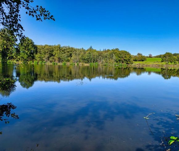 5 Acre Lake in Limousin Image