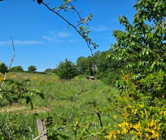 27 acre Estate with Lake in Auvergne-Rhône-Alpes Image