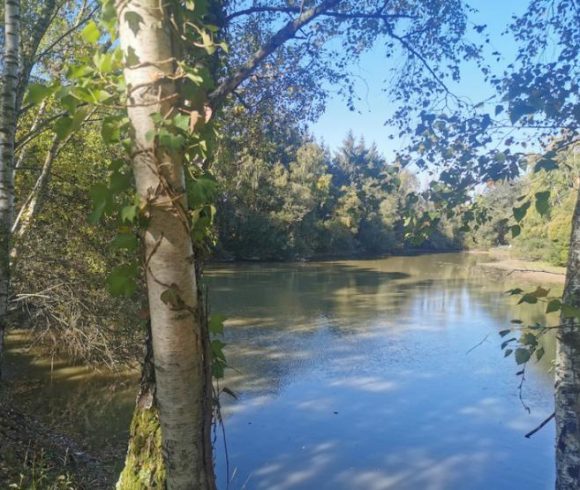 2 Lakes and a Cabin in Brittany Image
