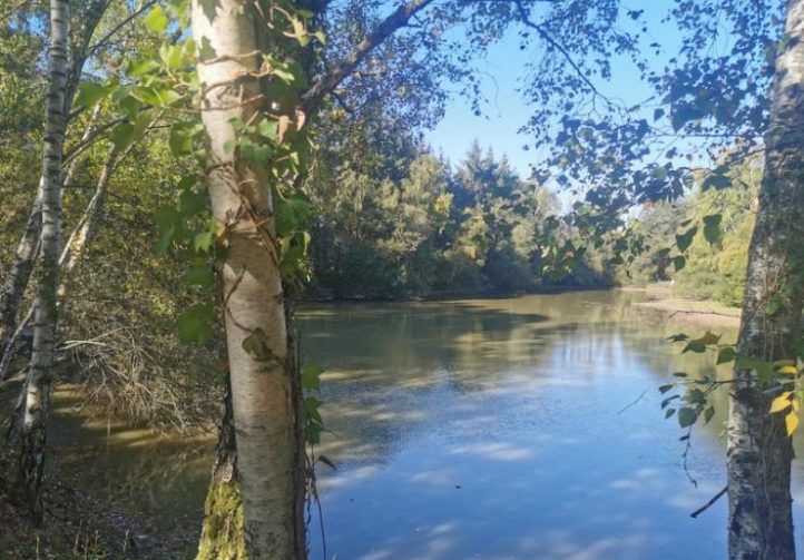 2 Lakes and a Cabin in Brittany Image