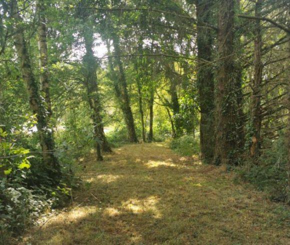 2 Lakes and a Cabin in Brittany Image