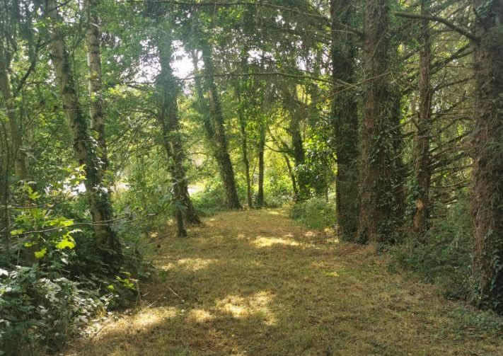 2 Lakes and a Cabin in Brittany Image