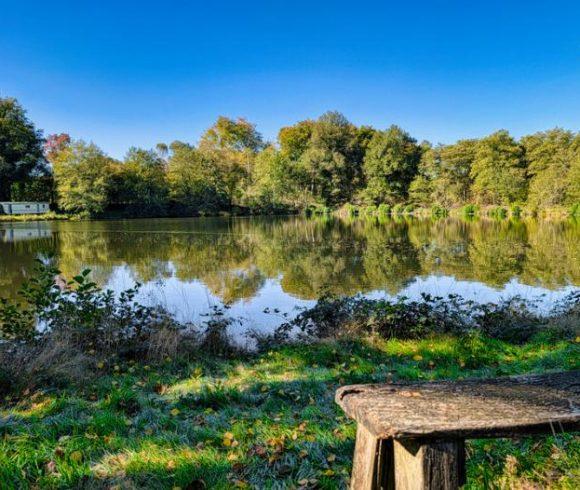 5 Acre Lake in Limousin Image