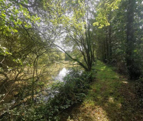 2 Lakes and a Cabin in Brittany Image