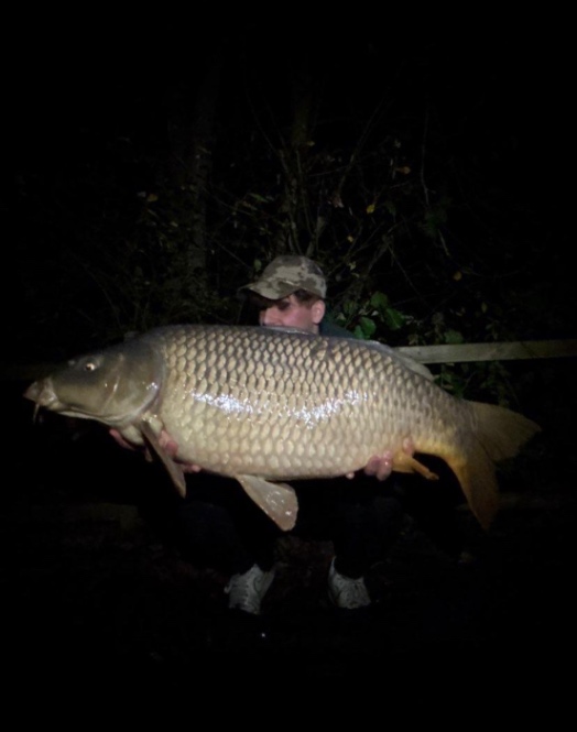 Domaine de Grand Felin – 18 November, 2025