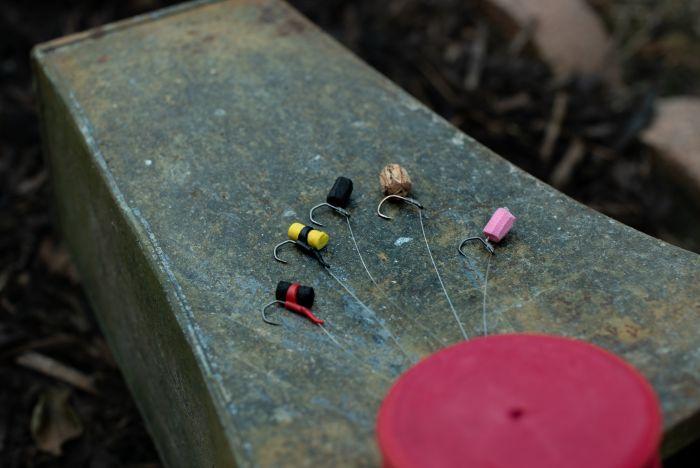 Have the necessary components so you can tie rigs for required tactics to catch carp in a French lake