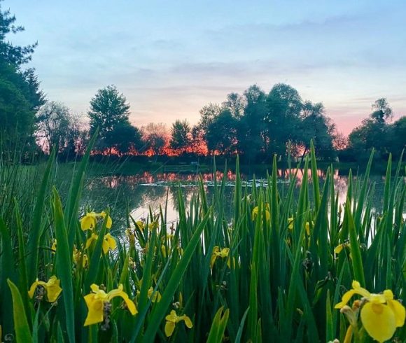 2.5-Acre Carp Fishing Venue with House, Gîte and Outbuildings – Mayenne Image