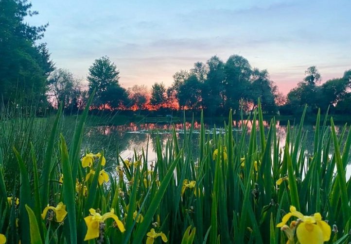 2.5-Acre Carp Fishing Venue with House, Gîte and Outbuildings – Mayenne Image