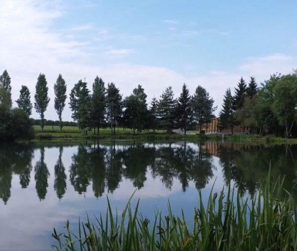 2.5-Acre Carp Fishing Venue with House, Gîte and Outbuildings – Mayenne Image