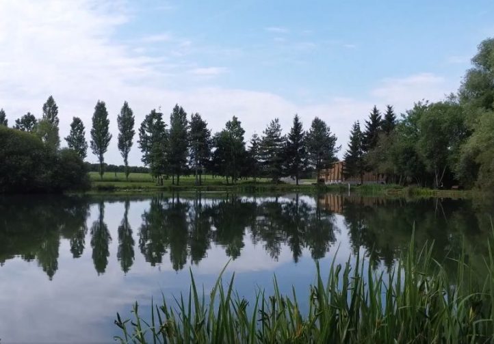 2.5-Acre Carp Fishing Venue with House, Gîte and Outbuildings – Mayenne Image