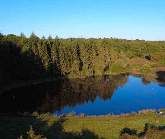 5 Bed Barn Conversion + 2 Gites a Pool and Lake Image