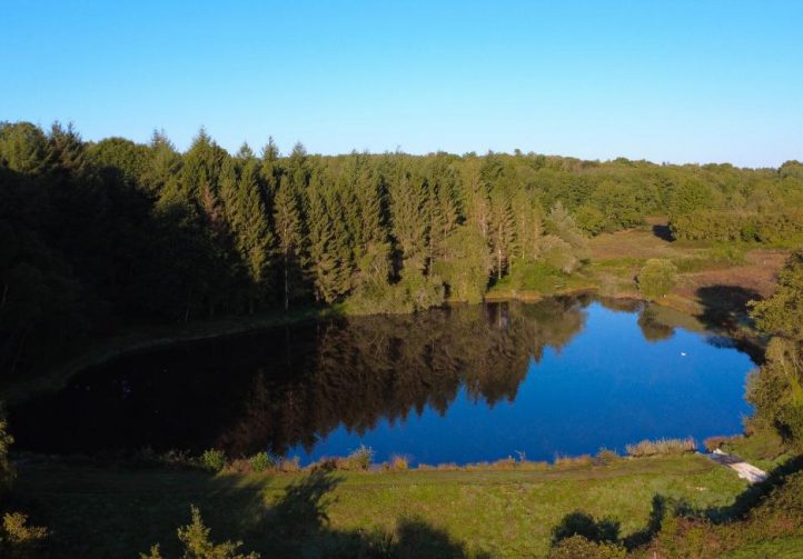 5 Bed Barn Conversion + 2 Gites a Pool and Lake Image