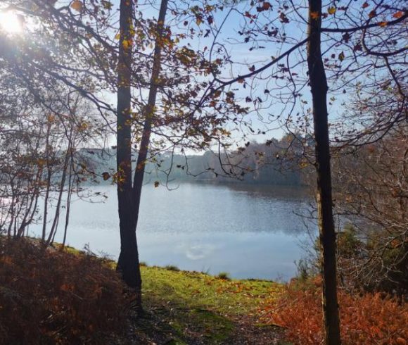 Leisure Park with 29.6-Acre Private Fishing Lake, Chalets, House & Facilities Image