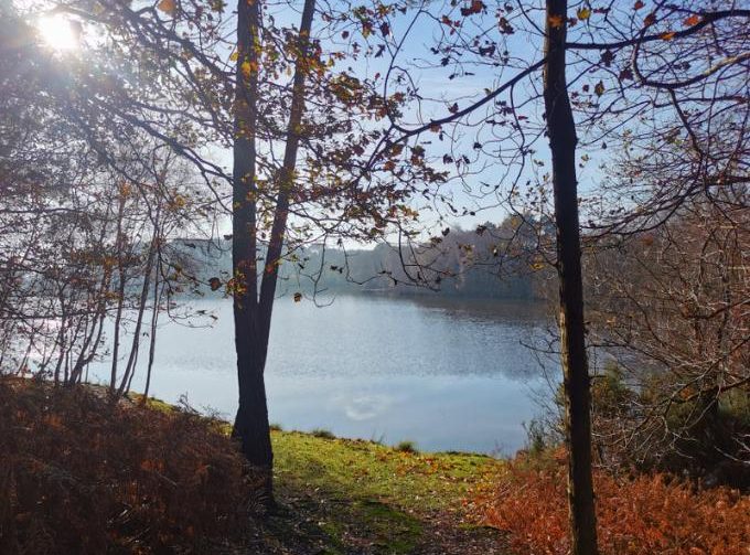 Leisure Park with 29.6-Acre Private Fishing Lake, Chalets, House & Facilities Image