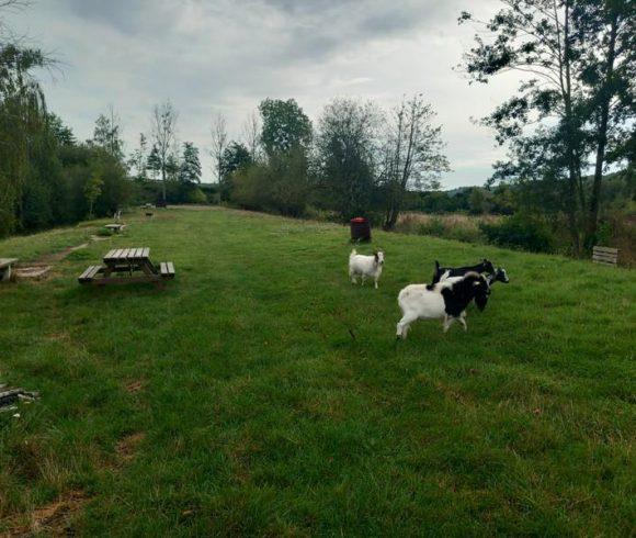 4.2 Acre Lake with Bungalow in Normandy Image