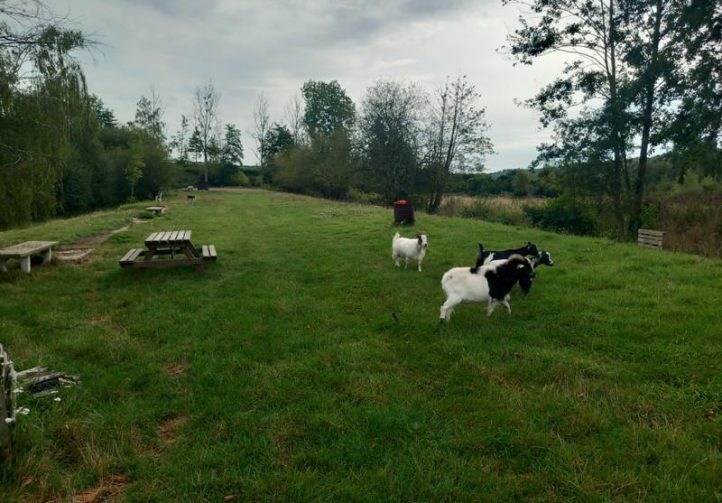 4.2 Acre Lake with Bungalow in Normandy Image