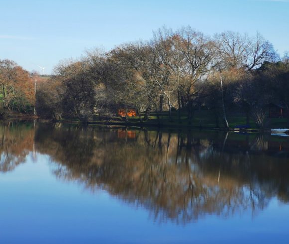 Leisure Park with 29.6-Acre Private Fishing Lake, Chalets, House & Facilities Image