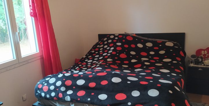 7.4 Acre Lake with Accommodation in the Dordogne Image