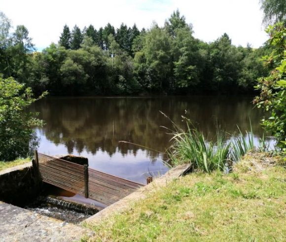 2.5 Acre Lake with Accommodation in Limousin Region Image