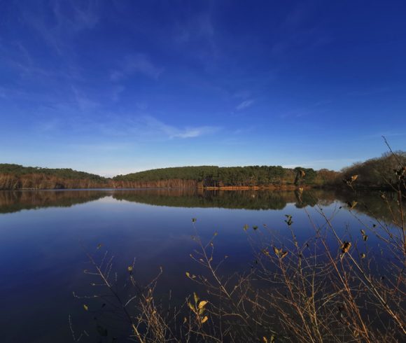 Leisure Park with 29.6-Acre Private Fishing Lake, Chalets, House & Facilities Image