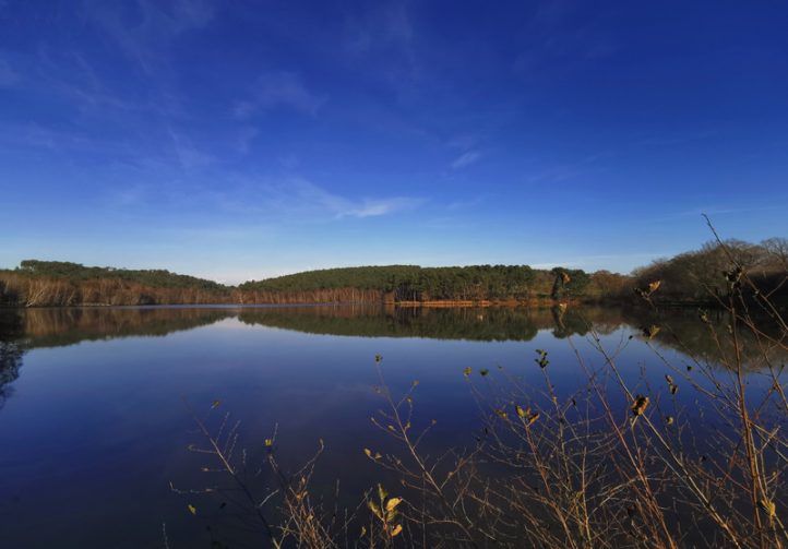 Leisure Park with 29.6-Acre Private Fishing Lake, Chalets, House & Facilities Image