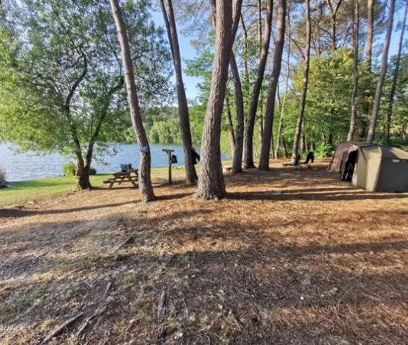 Leisure Park with 29.6-Acre Private Fishing Lake, Chalets, House & Facilities Image