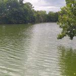 7.4 Acre Lake with Accommodation in the Dordogne Image