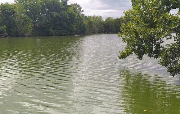 7.4 Acre Lake with Accommodation in the Dordogne Image