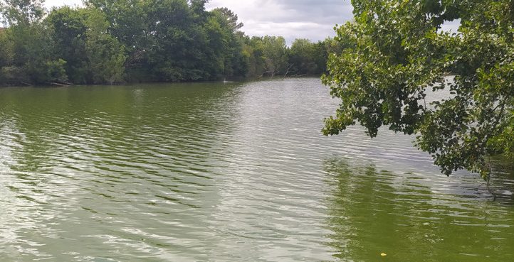 7.4 Acre Lake with Accommodation in the Dordogne Image