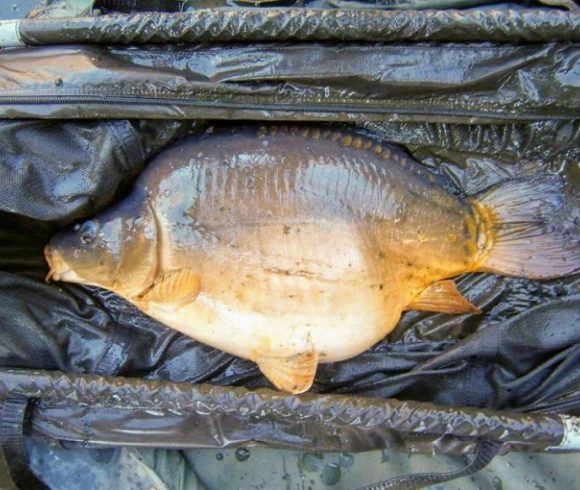 5.4 Acre Lake + 2 Properties in Limousin Image