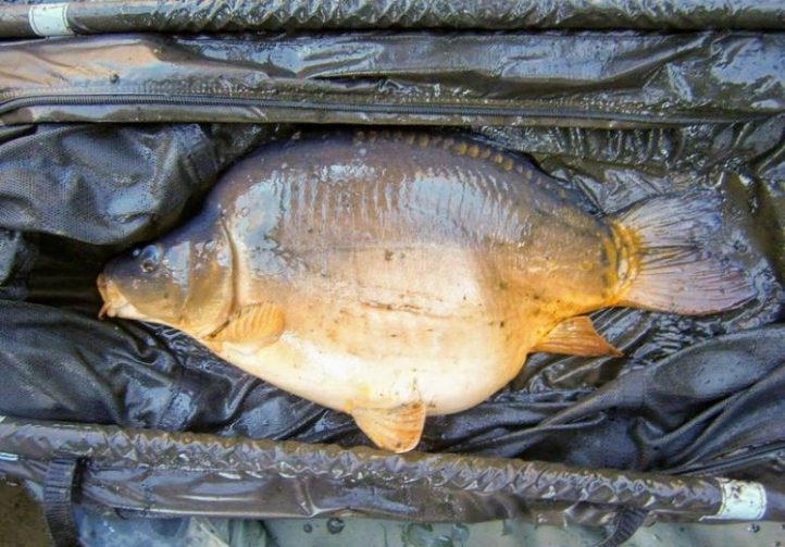 5.4 Acre Lake + 2 Properties in Limousin Image